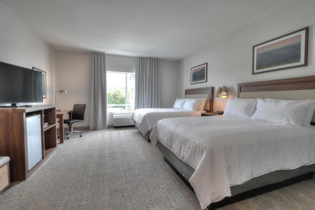 Holiday Inn & Suites Pigeon Forge Convention Center, An Ihg Hotel 外观 照片