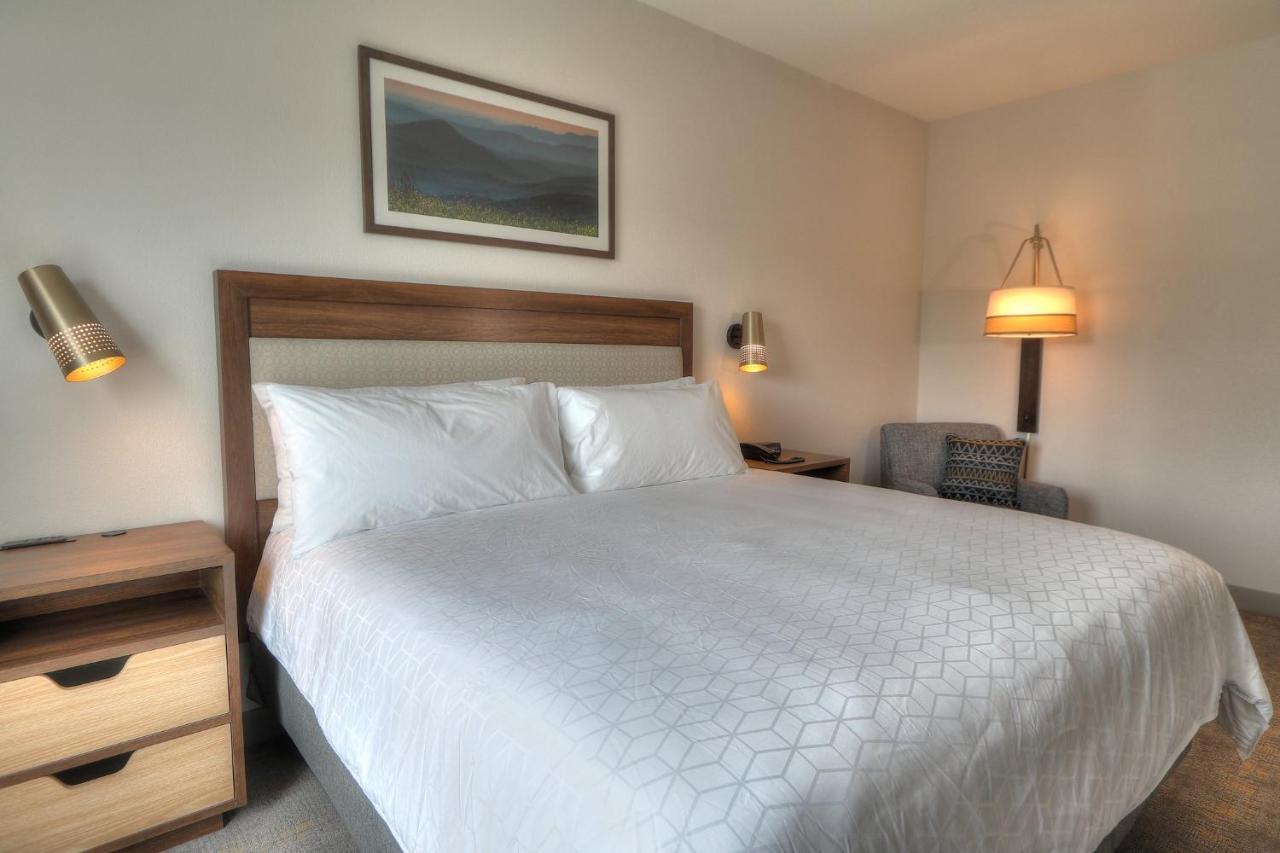 Holiday Inn & Suites Pigeon Forge Convention Center, An Ihg Hotel 外观 照片